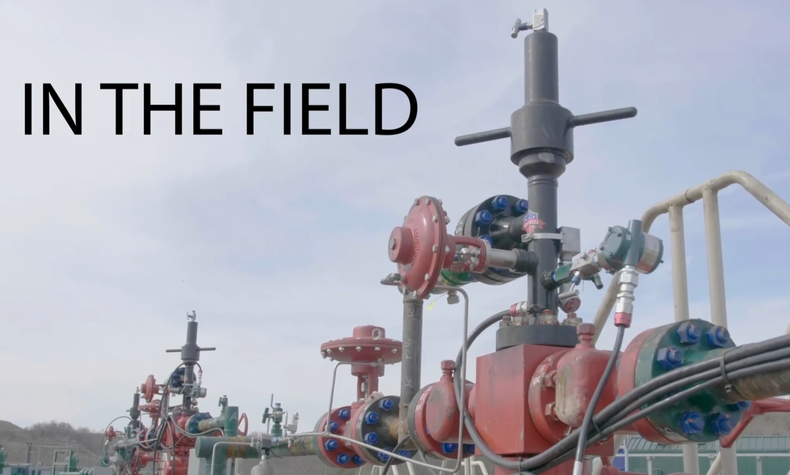 CNX - In the Field